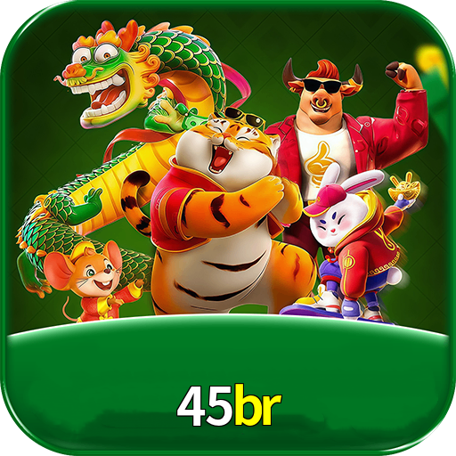 Logo 45br